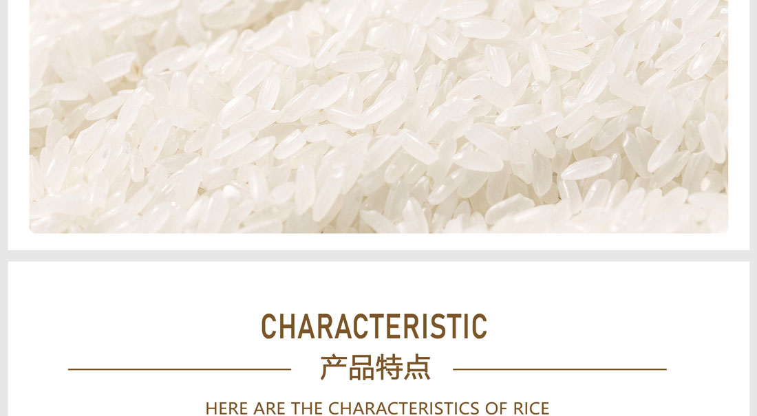 PA电子(中国区)唯一官方网站