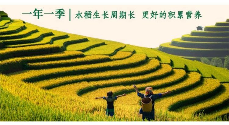 PA电子(中国区)唯一官方网站